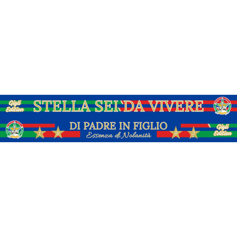 Fascia P. Stella 1983